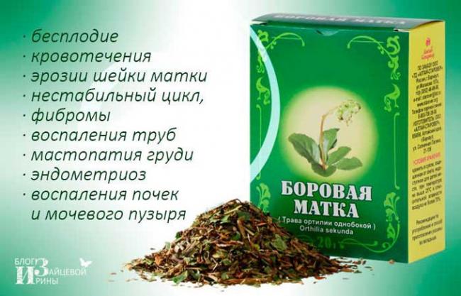 показания для боровой матки