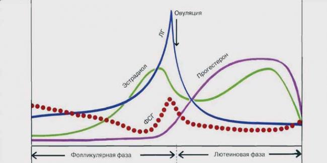 лютеинизирующий гормон норма