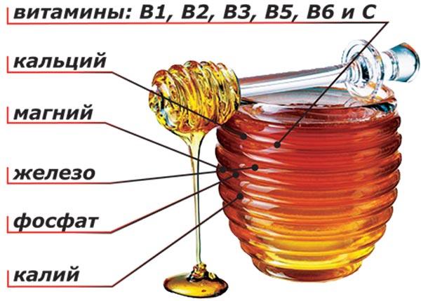 состав-меда.jpg
