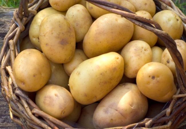 Potatoes1.jpg