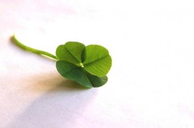four-leaved-clover-1309440-638x422_400x265.jpg