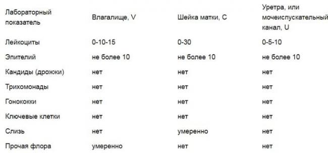 Норма лейкоцитов в мазке у женщин, расшифровка значений, таблица