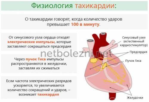 1497619759_fiziologiya-tahikardii.jpg