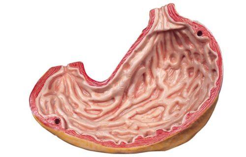 gastrit-500x320.jpg