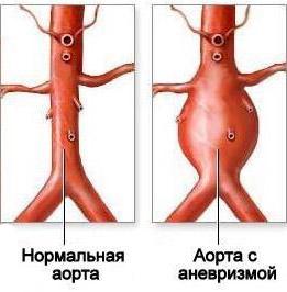 68486864648648468.jpg