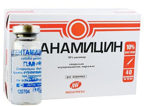 канамицин