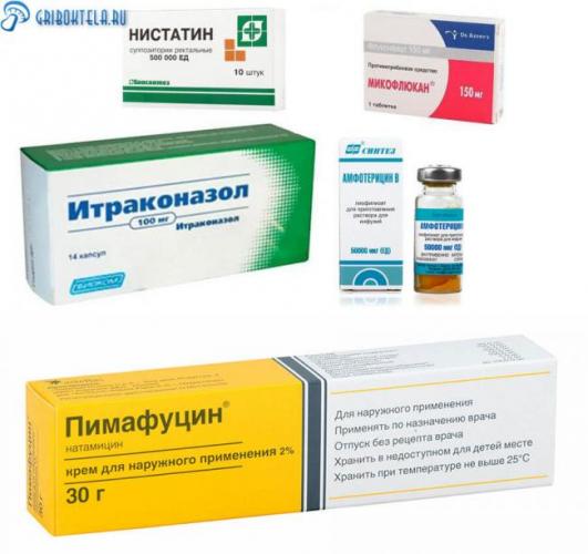 lekastva-dlia-lecheniya-molochnici-vo-rtu.jpg