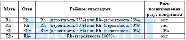 gruppa_2.jpg