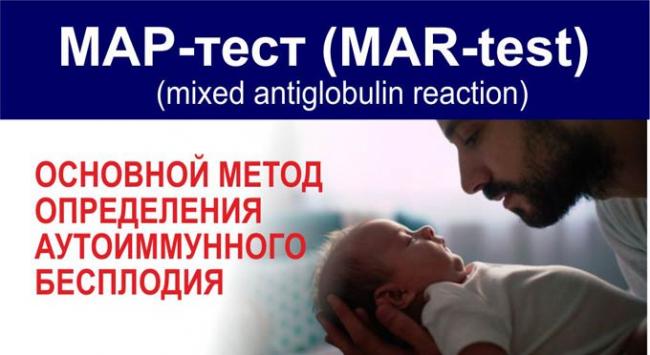 расшифровка мар теста