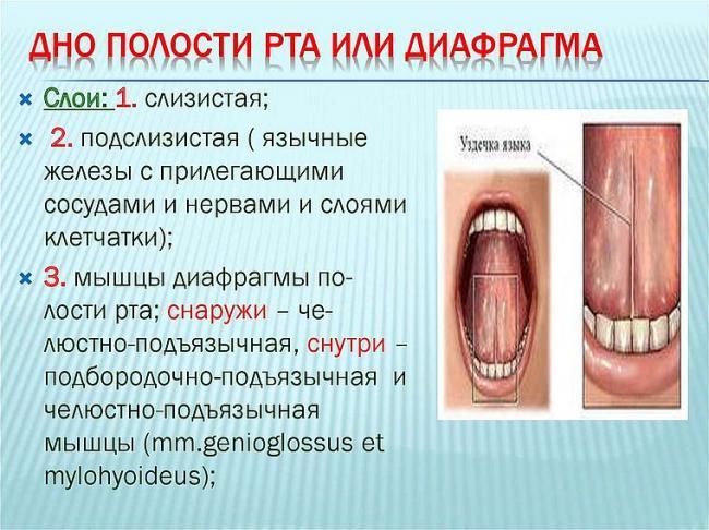 dno.jpg