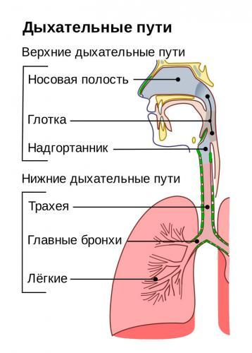 45968498694.jpg