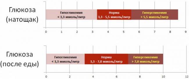 Norma-insulina-posle-edy.jpeg