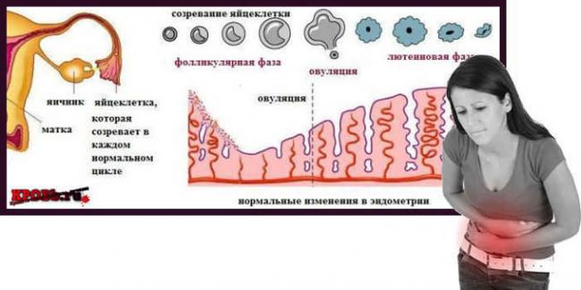 схема лечения