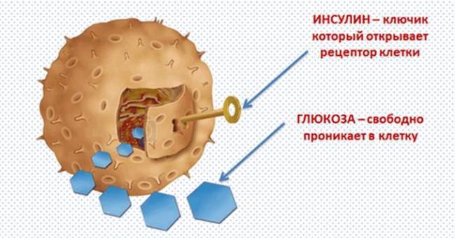 insulin_diabet_2.png