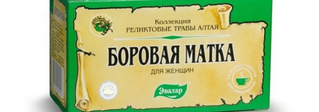 боровая матка для стимуляции овуляции