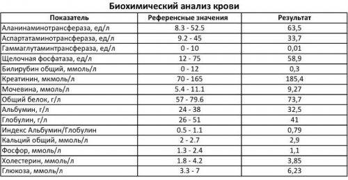 1567489568_biohimicheskiy-analiz-krovi.jpg