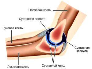 Sovetyi-o-stroenie-loktya-pri-artroz-loktevogo-sustava-300x225.jpg