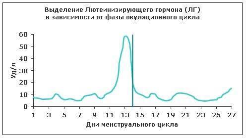 лютеинизирующий гормон гипофиза