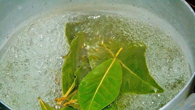Ingalyatsii_s_otvarom_lavrovogo_lista.png