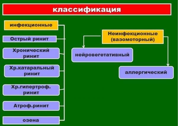 rinit-vidy-600x427.jpg