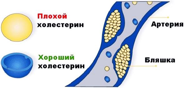 Foto-1-13.jpg