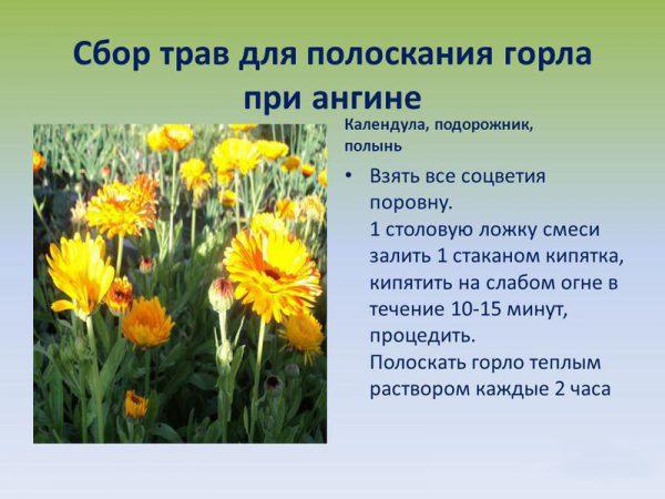 slide_19-600x450.jpg