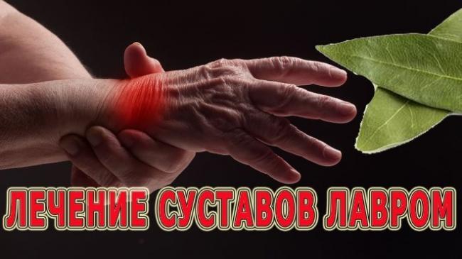 Lavrovyj-list8.jpg