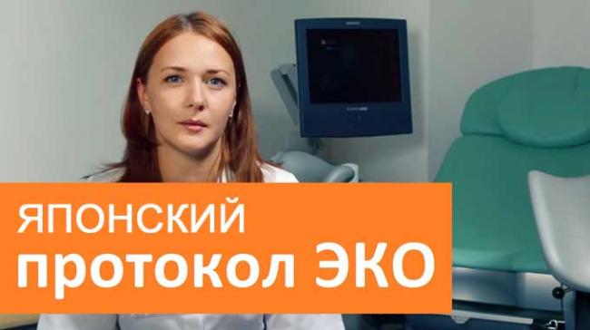 японский протокол эко