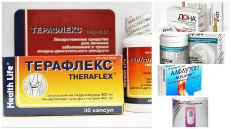 Ris.-2-Hondroprotektoryi-450x253.jpg