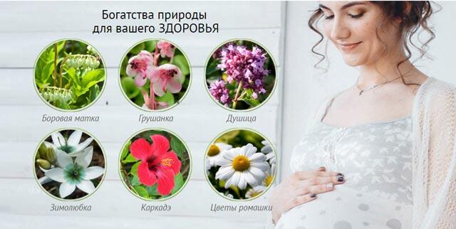 боровая матка и грушанка