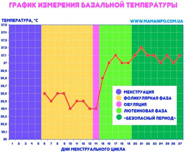 график базальной температуры
