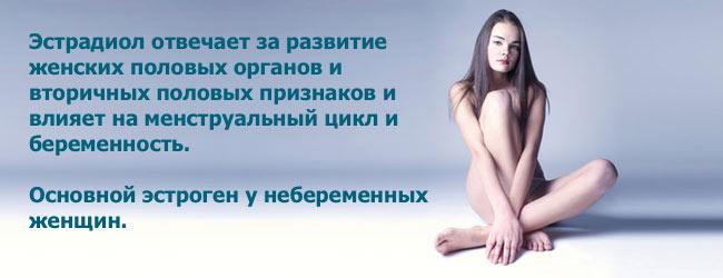 за что отвечает эстрадиол у женщин