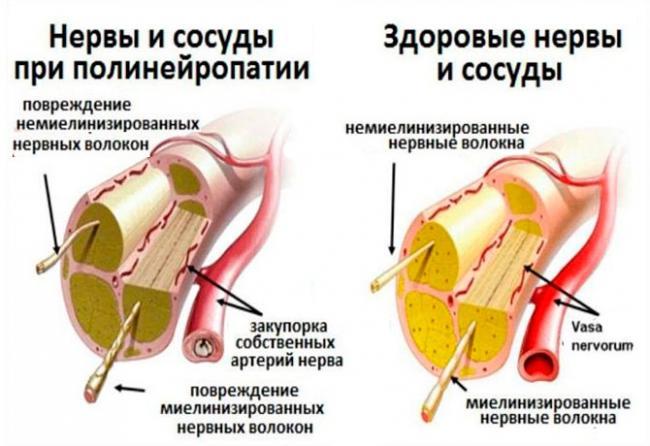 2101.jpg