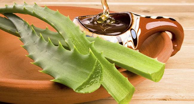 Aloe-s-medom.jpg