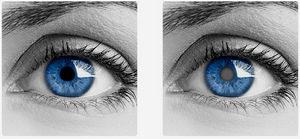 фото 3