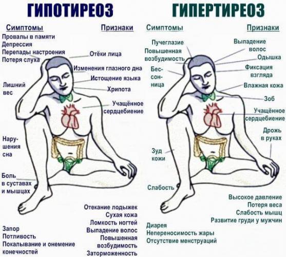 bolezni-shhitovidki.jpg
