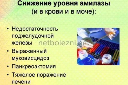 1558837577_prichiny-snizheniya-urovnya-fermenta.jpg