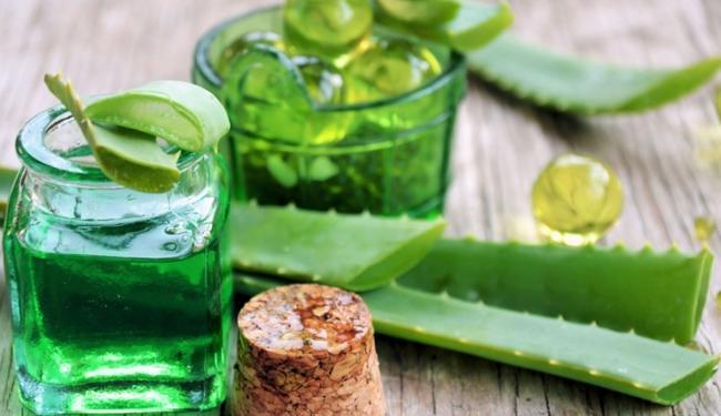 aloe-s-vinom.jpg