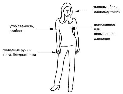 090-5.jpg