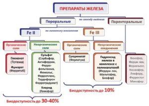 6d7de312fc99ce2f80950fcdec37f244-300x214.jpg