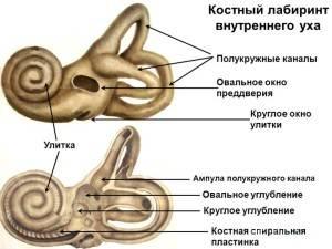 slide_25-300x225.jpg