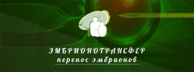 как происходит подсадка эмбриона при эко