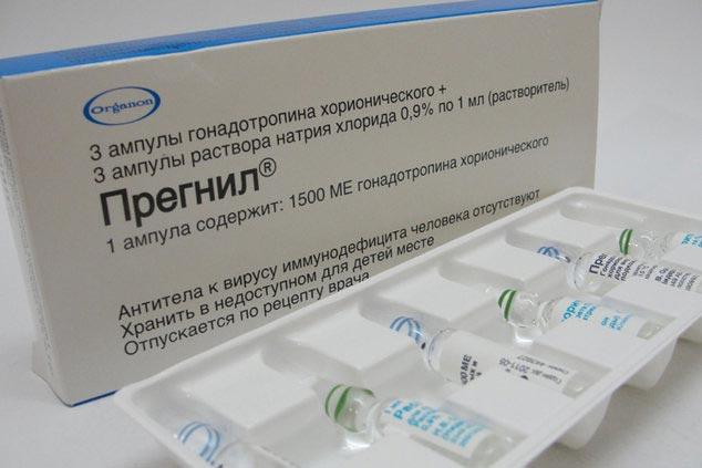 Прегнил