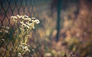 фото 9