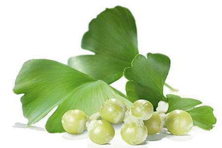 ginkgo-biloba6456.jpg