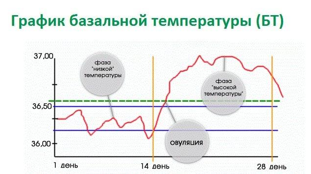 график БТ