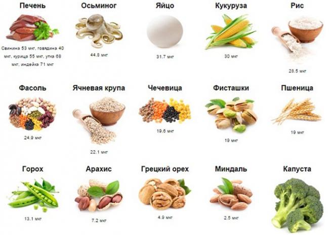 лучшие продукты для мужской спермы