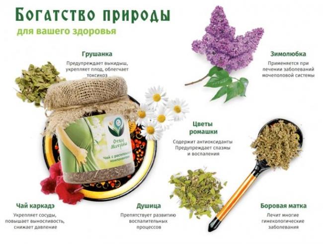 травы от бесплодия для мужчин и женщин