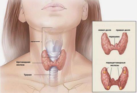 normohromnaya_normocitarnaya_anemiya_zheleza-480x327.jpg