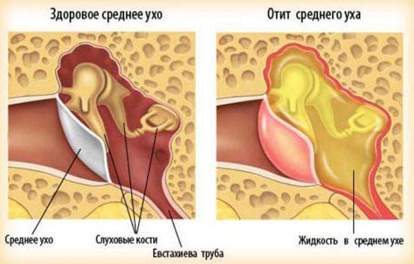 %D0%B2%D0%B0%D1%81%D1%8F-27-600x383.jpg